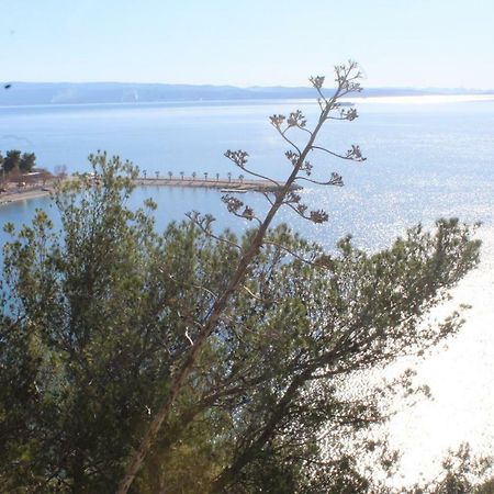 Paradise Apartment With Big Sunny Terrace In The Old Town, Few Meters From The Sea & Riva Promenade Split Extérieur photo